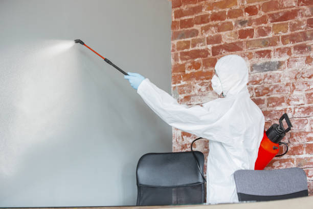 Best Comprehensive Air Testing for Mold Contaminants  in Oakdale, MN