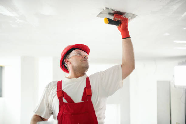 Best Mold Damage Restoration  in Oakdale, MN
